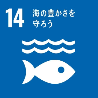 SDGsの達成に向けた取り組み14：海の豊かさを守ろう